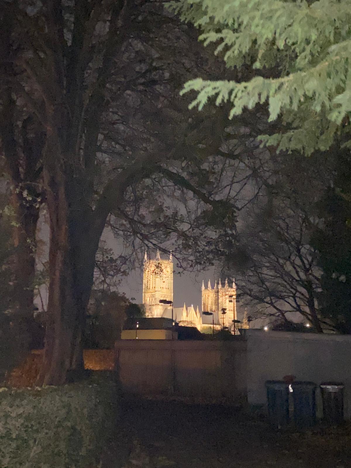 Cathedral View